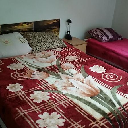 Appartement Sosnowy Dworek à Józefów Extérieur photo