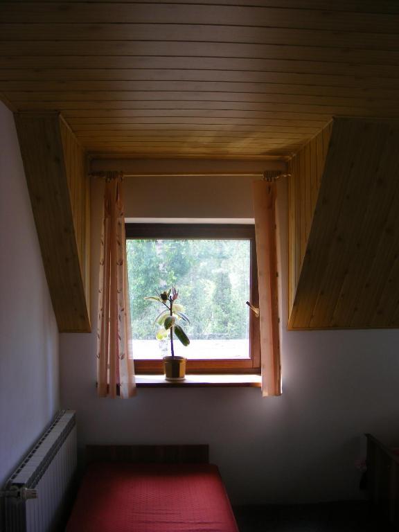 Appartement Sosnowy Dworek à Józefów Extérieur photo