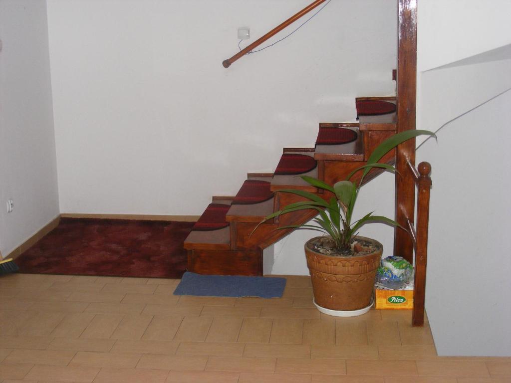 Appartement Sosnowy Dworek à Józefów Extérieur photo
